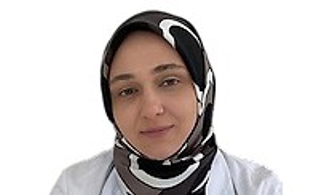 Исмаилова Амина Арашевна